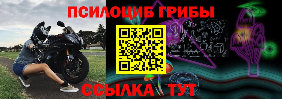 Галлюциногенные грибы мухоморы Мценск